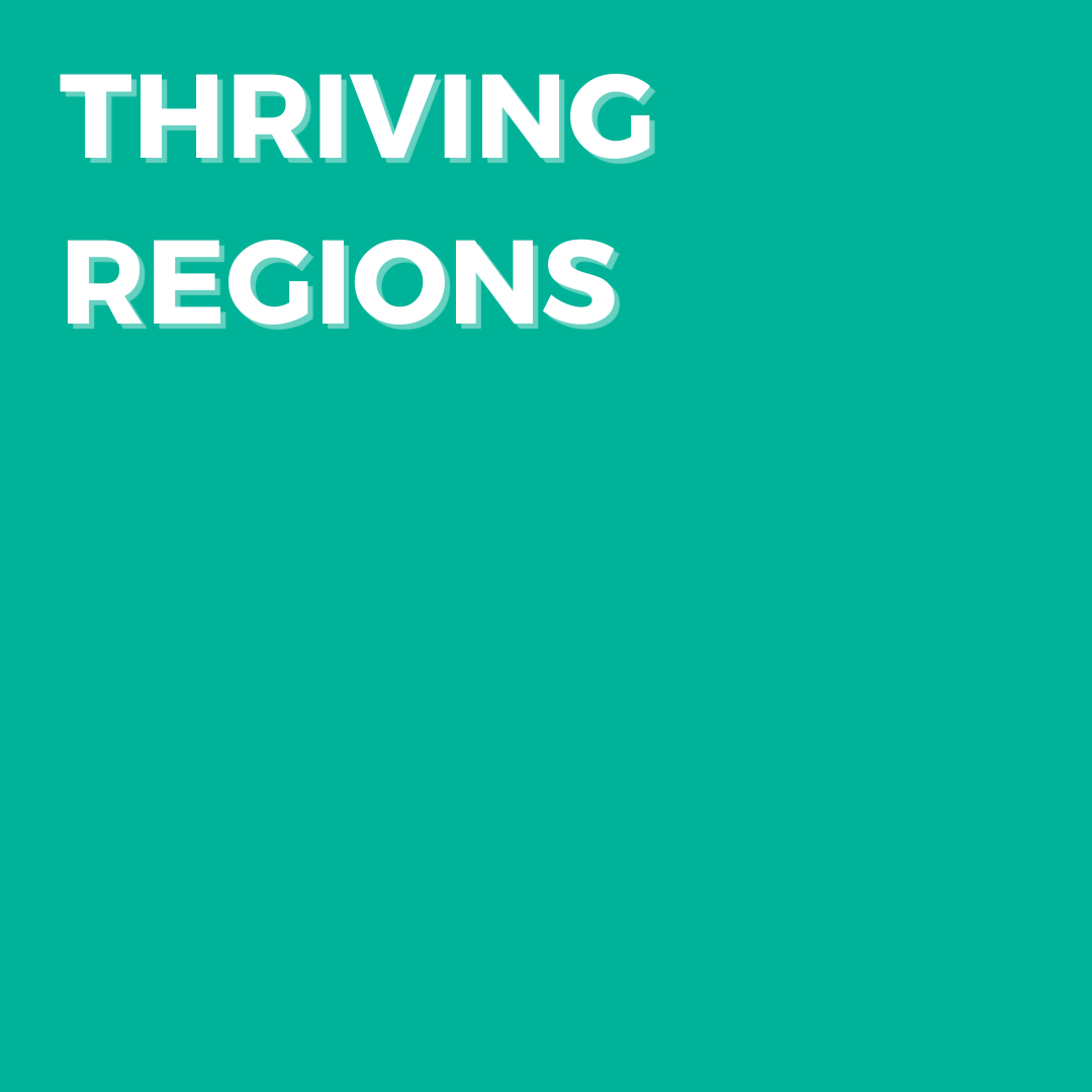 Thriving regions partnerships process